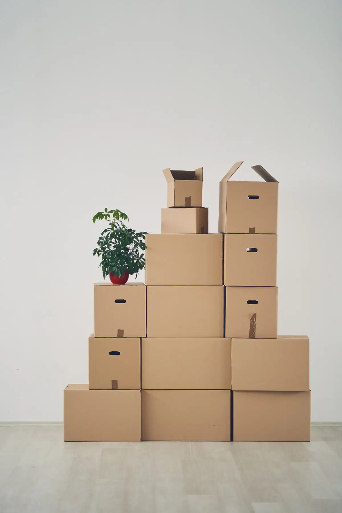 Moving boxes stacked in a neat pyramid against a bare wall in an empty room, with a potted plant on top